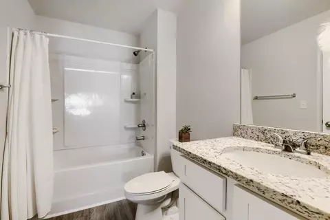 Bath - 11694 Chatham Dr, Hampton, GA 30228 photo 3 of 3