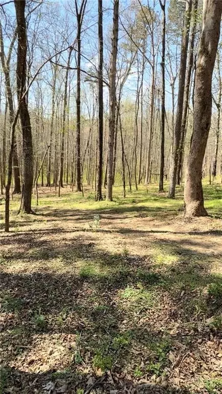 0 Ike Stone, Monroe, GA 30656 photo 3
