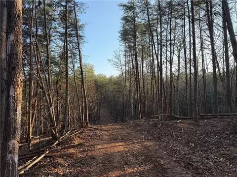 0 Arnold Rd, Fairmount, GA 30139 photo 26