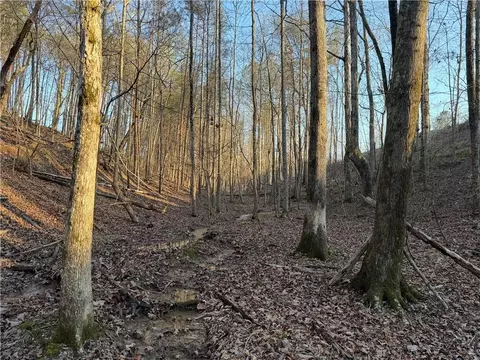 0 Arnold Rd, Fairmount, GA 30139 photo 41