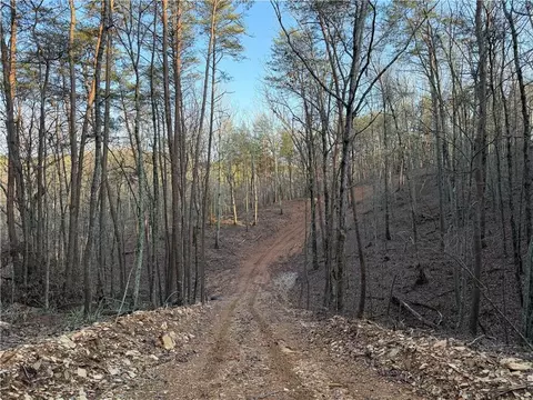 0 Arnold Rd, Fairmount, GA 30139 photo 24