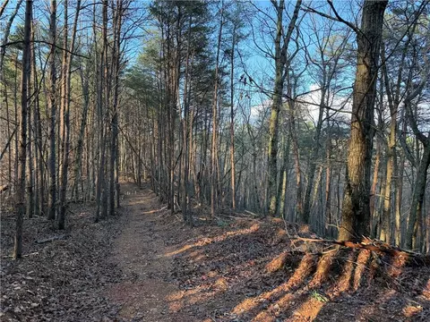 0 Arnold Rd, Fairmount, GA 30139 photo 48