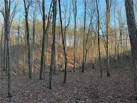 0 Arnold Rd, Fairmount, GA 30139 photo 38