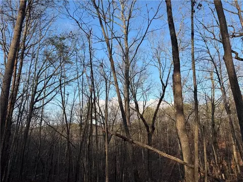0 Arnold Rd, Fairmount, GA 30139 photo 30
