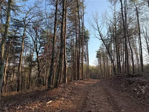0 Arnold Rd, Fairmount, GA 30139 photo 8