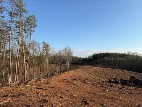 0 Arnold Rd, Fairmount, GA 30139 photo 10