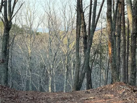 0 Arnold Rd, Fairmount, GA 30139 photo 3
