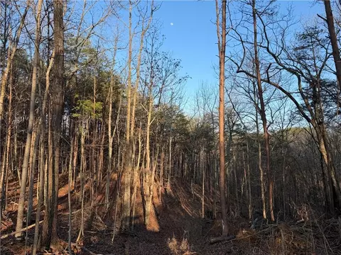 0 Arnold Rd, Fairmount, GA 30139 photo 34