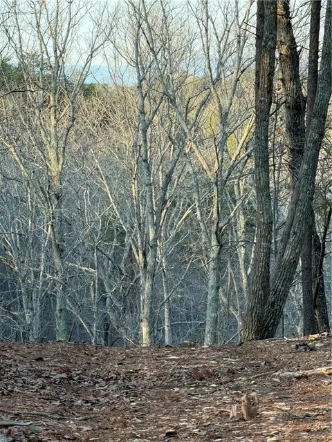 0 Arnold Rd, Fairmount, GA 30139 photo 51