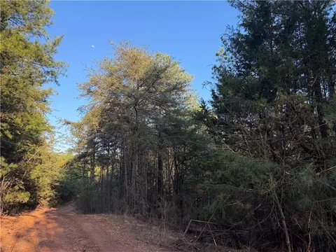 0 Arnold Rd, Fairmount, GA 30139 photo 6