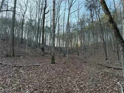 0 Arnold Rd, Fairmount, GA 30139 photo 12