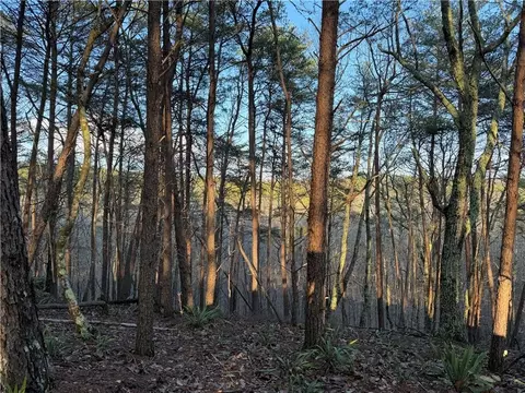 0 Arnold Rd, Fairmount, GA 30139 photo 49