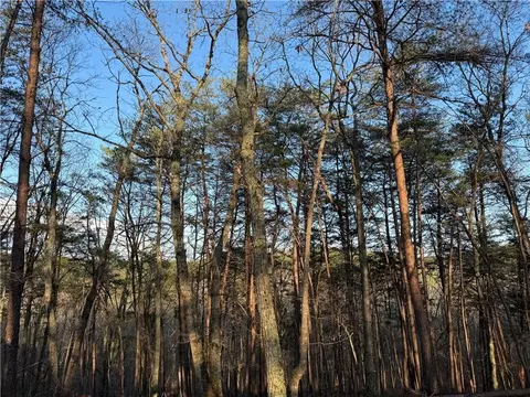 0 Arnold Rd, Fairmount, GA 30139 photo 25