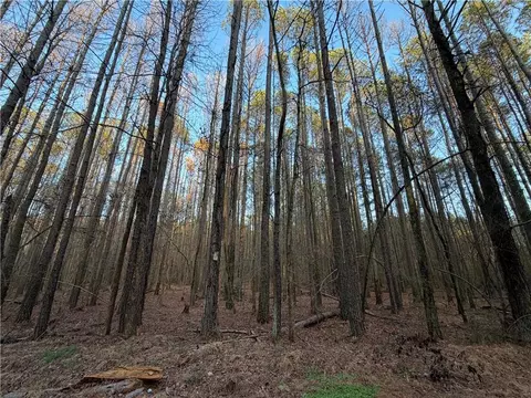 0 Arnold Rd, Fairmount, GA 30139 photo 54