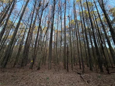 0 Arnold Rd, Fairmount, GA 30139 photo 53