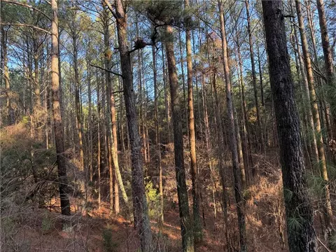 0 Arnold Rd, Fairmount, GA 30139 photo 22