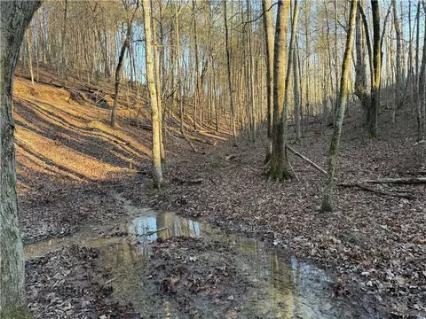 0 Arnold Rd, Fairmount, GA 30139 photo 39