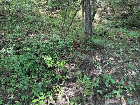 5 10 Riverview Dr And Pine Trl, Dahlonega, GA 30533