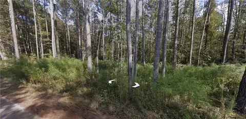 0 Holly Road Tract 3, Bowdon, GA 30108 photo 3