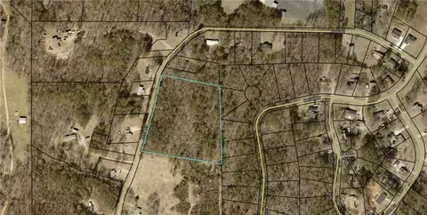 0 Holly Road Tract 3, Bowdon, GA 30108 photo 4