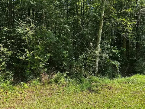 00 Overbrook Dr, Temple, GA 30179 photo 2