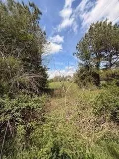 390 Fields Rd, Cedartown, GA 30125 photo 7