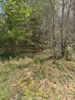 390 Fields Rd, Cedartown, GA 30125 photo 5