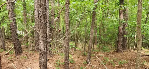 0000 Rabbit Farm Rd, Loganville, GA 30052
