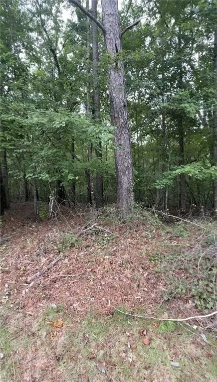 5850 Double Birch, Douglasville, GA 30135
