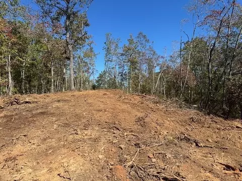 3 71 Yancy Dr, Dawsonville, GA 30534