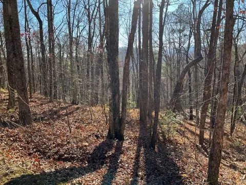 lot Apt 1 Forest Canopy Way, Clayton, GA 30525