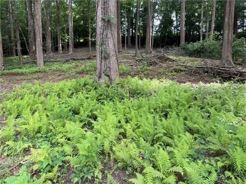 0 Martin Head Cir, Dahlonega, GA 30533
