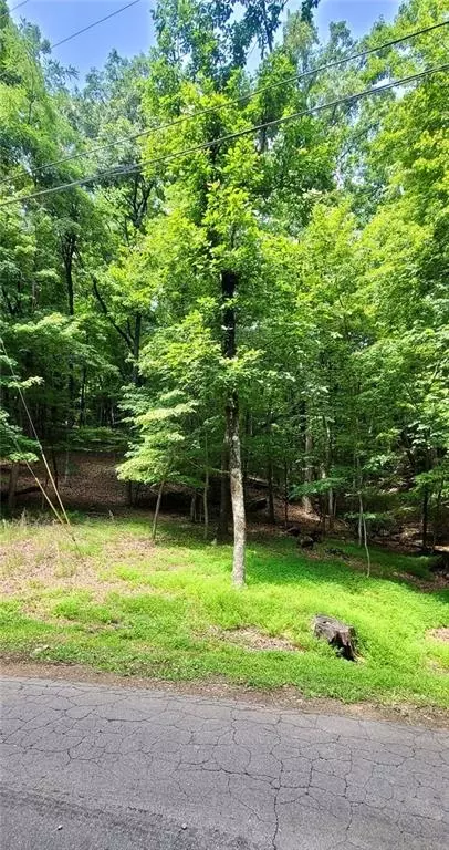 1649 Moss Patch Trl, Jasper, GA 30143 photo 8