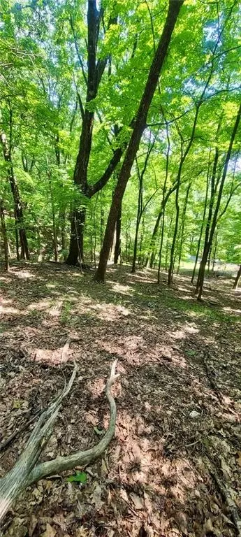 1649 Moss Patch Trl, Jasper, GA 30143 photo 7
