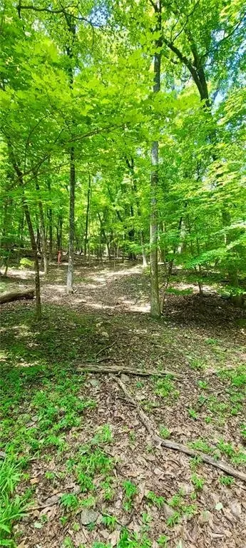1649 Moss Patch Trl, Jasper, GA 30143 photo 5