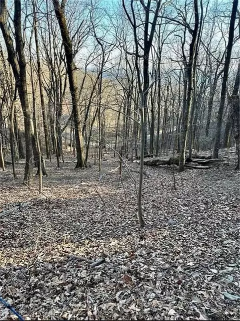 1649 Moss Patch Trl, Jasper, GA 30143 photo 3