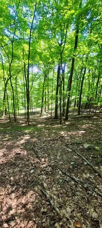 1649 Moss Patch Trl, Jasper, GA 30143 photo 4
