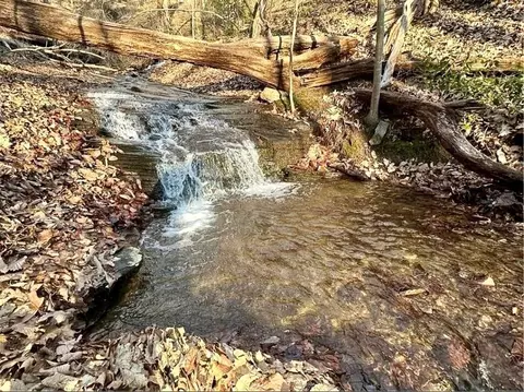 1649 Moss Patch Trl, Jasper, GA 30143 photo 2