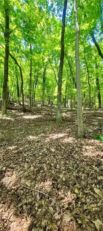 1649 Moss Patch Trl, Jasper, GA 30143 photo 6