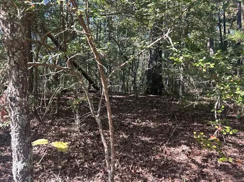 0 Springer Rd, Whitesburg, GA 30185