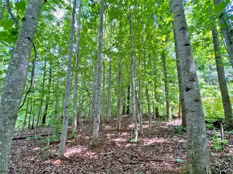 39 2ac Falling Pines Rd, Dahlonega, GA 30533