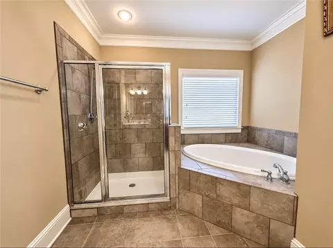Bath - 1653 Elesmere Oak Ct, Duluth, GA 30097 photo 8 of 11