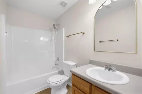 Bath - 1457 Shelnut Ct, Hampton, GA 30228 photo 4 of 5
