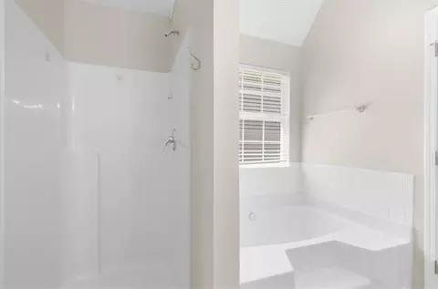 Bath - 1457 Shelnut Ct, Hampton, GA 30228 photo 3 of 5