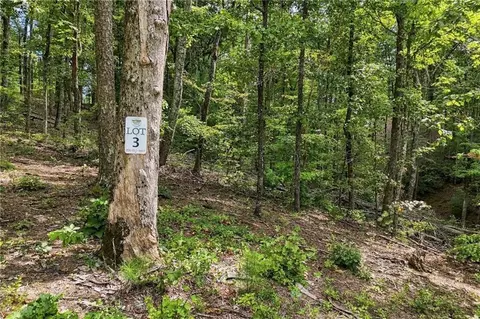 3 Turkey Spur Dr, Ellijay, GA 30540