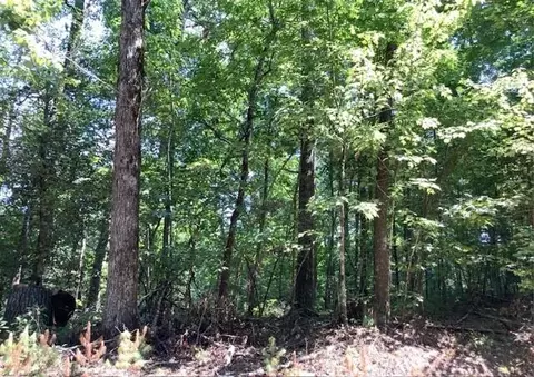 0 William Sluder Rd, Ellijay, GA 30540