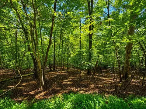 Lt1012 Gateway Drive, Ellijay, GA 30540