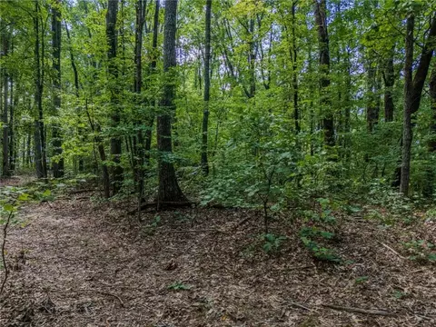 0 Clearview Dr, Jasper, GA 30143 photo 6