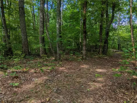0 Clearview Dr, Jasper, GA 30143 photo 5