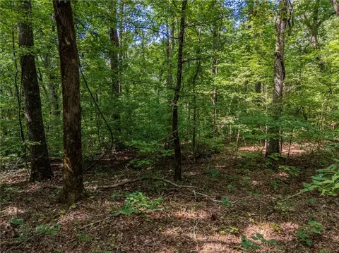 0 Clearview Dr, Jasper, GA 30143 photo 7